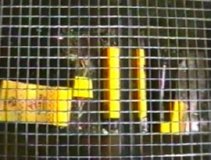 FOTOS (207) � IMAGEN FOTOGRAFIA